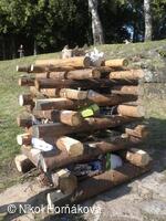 * Z DĚNÍ VE MĚSTĚ